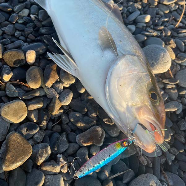 Leurre Métallique Xesta After Burner Mini 12g 53mm - Gabarit Coulissant Pour Pêche En Mer Et Eau Douce